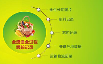 坚果有了追溯系统，让生产过程透明化